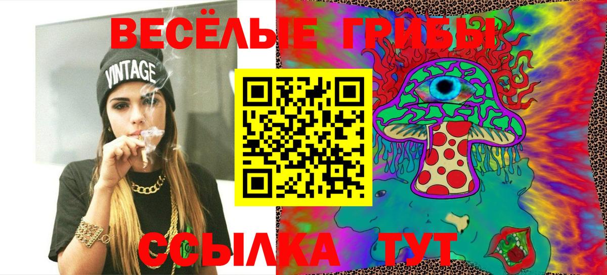 Псилоцибиновые грибы Psilocybine cubensis Кизляр