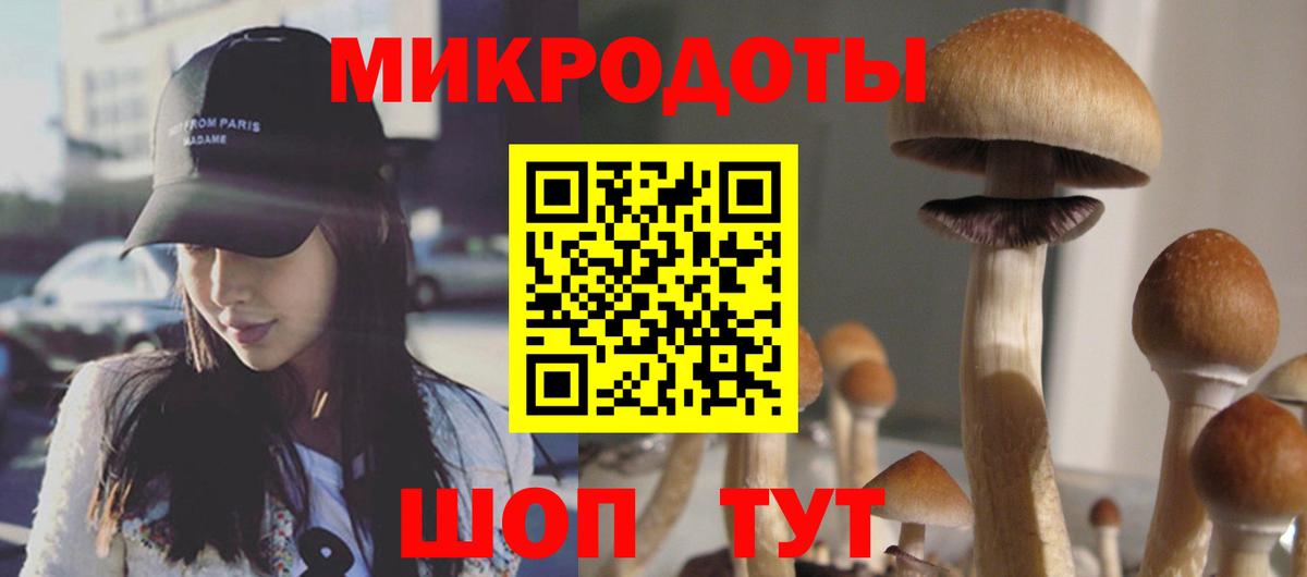 Псилоцибиновые грибы прущие грибы  цены   Кизляр  Вход с VPN 